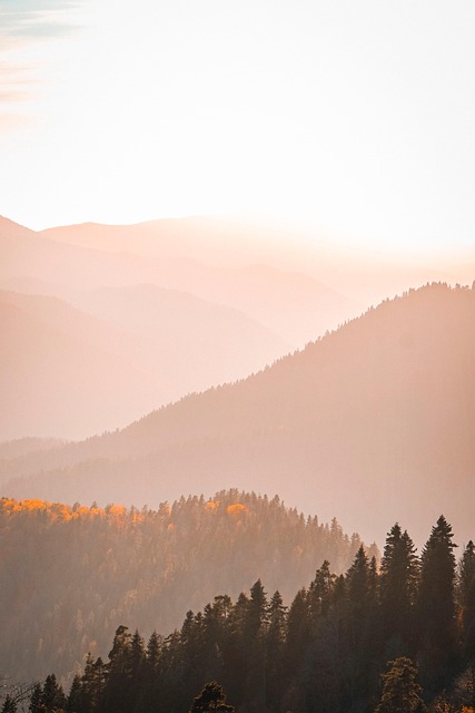 Mountain view