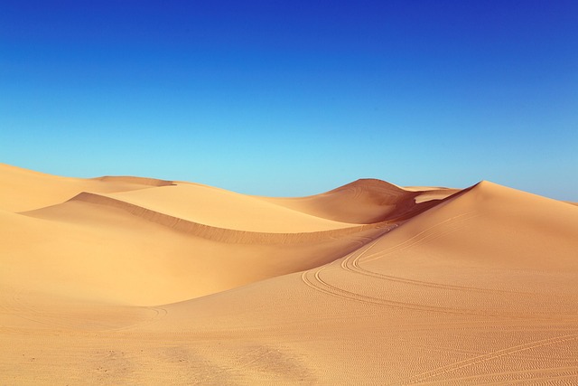Desert landscape